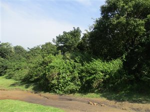 4047 m² Land available in Banners Rest