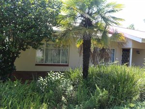 3 Bed House in Greytown