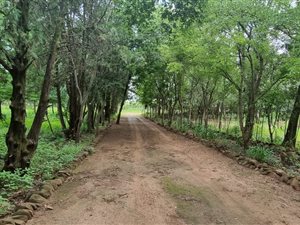 26 ha Farm in Magaliesburg