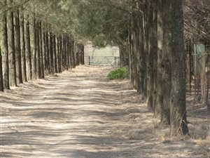 26.7 ha Farm in Mooiplaats AH