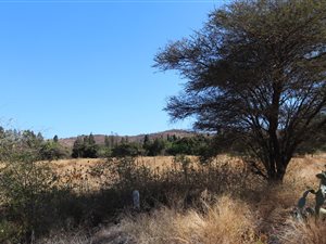 1.2 ha Land available in Waterval East