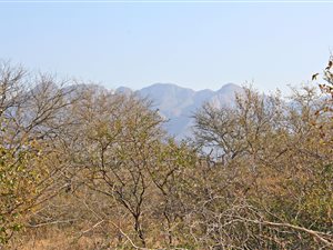 4300 m² Land available in Blyde Wildlife Estate