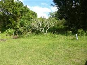 4000 m² Land available in Edenburg