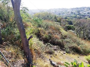 1256 m² Land available in Umhlatuzana