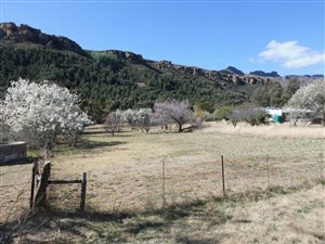 1107 m² Land available in Lady Grey
