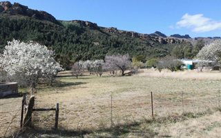 1107 m² Land available in Lady Grey