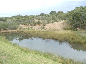 149 ha Farm in Grahamstown