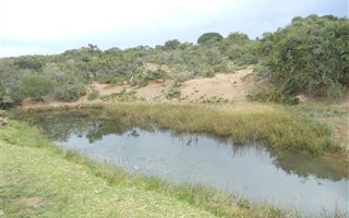 149 ha Farm in Grahamstown