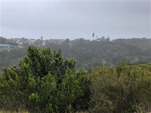 1495 m² Land available in Plettenberg Bay