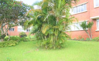 2.5 Bedroom Apartment in Essenwood
