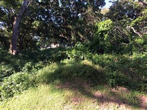 2037 m² Land available in Umtentweni