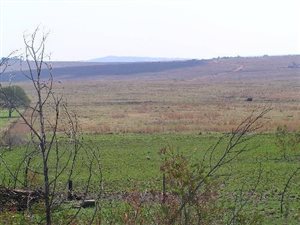 34 ha Land available in Tiegerpoort