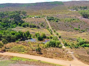 29.6 ha Farm in Napier