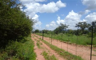 98 ha Farm in Modjadjiskloof