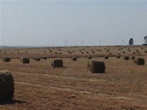 182 ha Farm in Leandra
