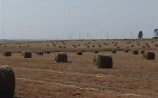 182 ha Farm in Leandra