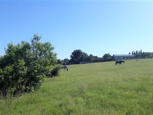 1 ha Land available in Sun Valley