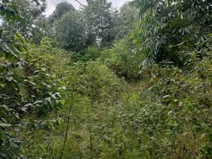800 m² Land available in Adams Mission