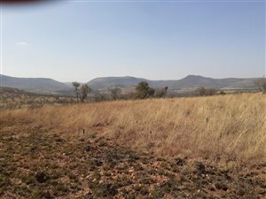 21 ha Farm in Hennops River