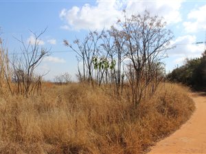 4.2 ha Farm in Donkerhoek