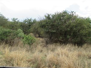 1.2 ha Land available in Leeuwfontein Estate