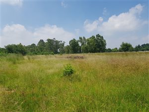 1.5 ha Land available in Benoni AH