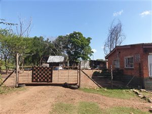 5 ha Farm in Empangeni