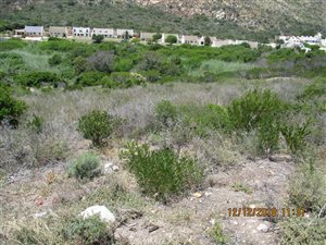 976 m² Land available in Island View