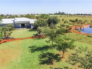 8.5 ha Farm in Tiegerpoort