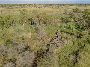 21 ha Farm in Dinokeng