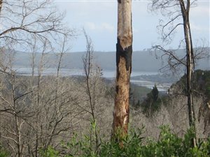 400 m² Land available in Phantom River View