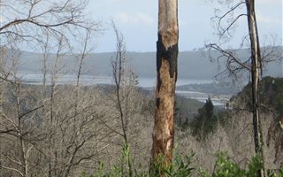 400 m² Land available in Phantom River View