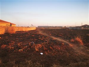 1115 m² Land available in Welgedacht