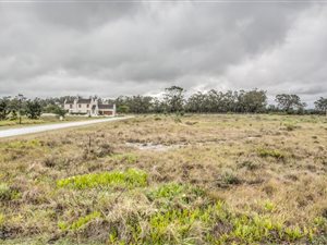 631 m² Land available in Wedgewood Golf Estate
