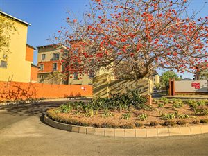 2 Bed Apartment in Noordwyk