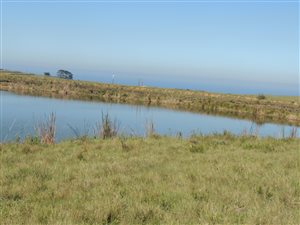83 ha Farm in George Rural