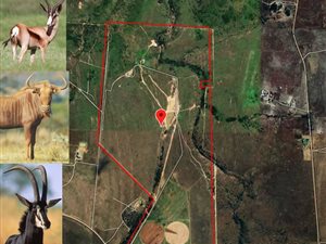 215 m² Farm in Middelburg South