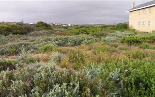 632 m² Land available in Gouritsmond