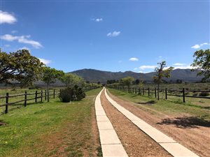 1000 m² Land available in Bot River