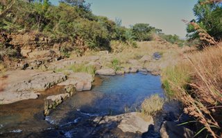 295 ha Farm in Bergville