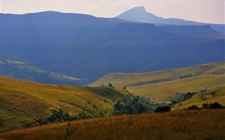 295 ha Farm in Bergville