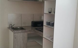 1 Bedroom Apartment in Ferndale