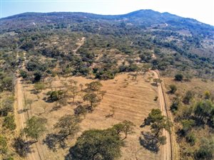 10 ha Farm in Nelspruit Central