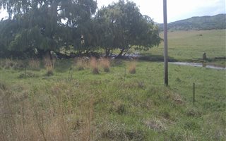 68 ha Farm in Greylingstad