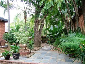 5 Bed House in Vaalwater
