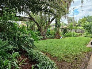3 Bed House in Roseville