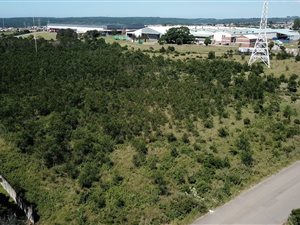 4.5 ha Land available in Amalinda
