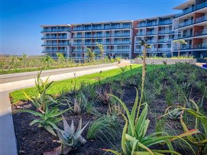 1 Bed Flat in Sibaya Precinct
