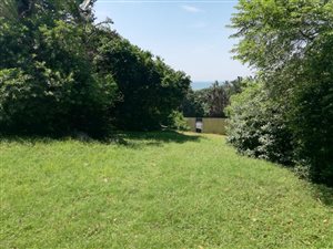 1098 m² Land available in Shelly Beach