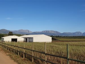 58.5 ha Farm in Wellington Central